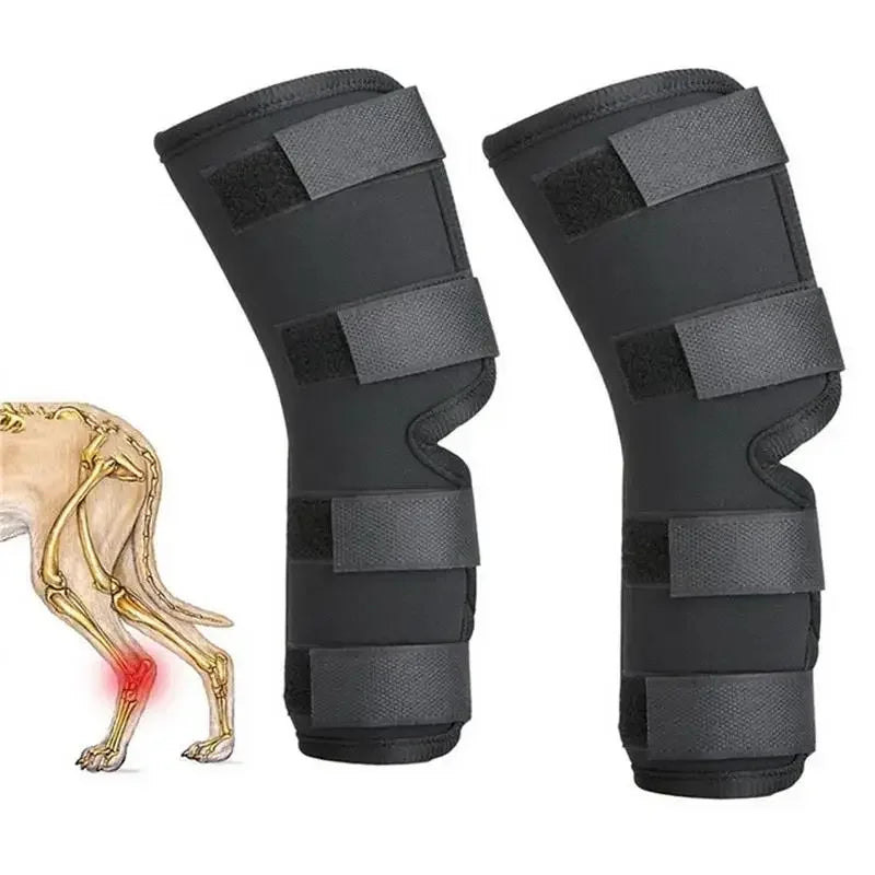 Passo Seguro - cão em movimento com o suporte