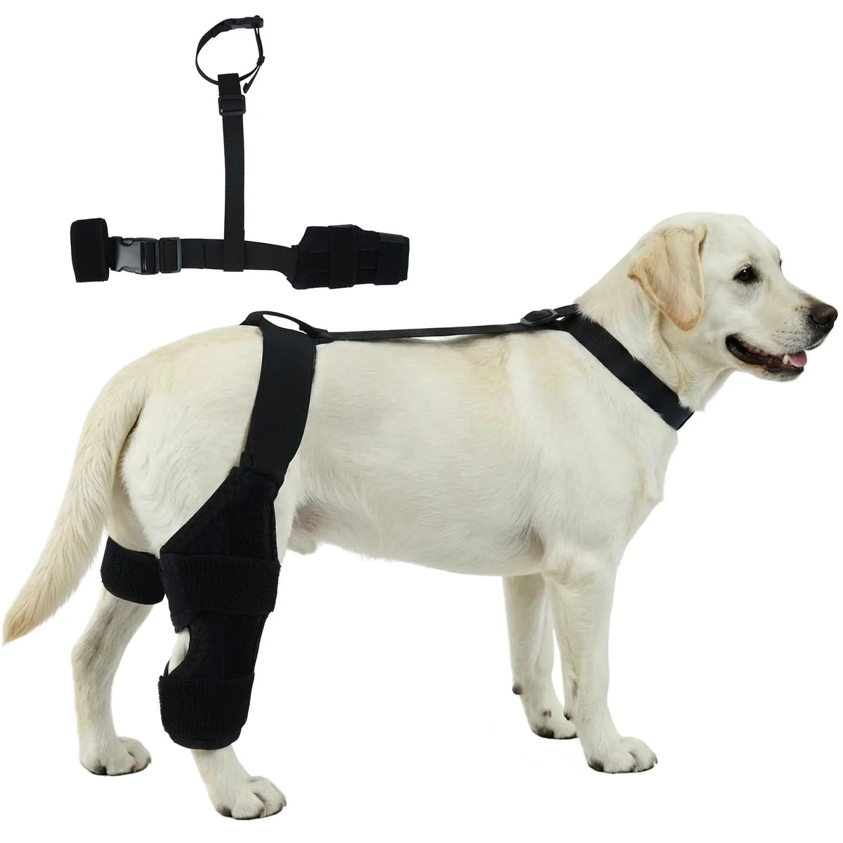 Firme e Flexível - joelheira ajustável para cão