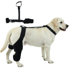 Firme e Flexível – Joelheira Ajustável para Cão