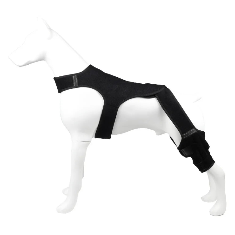 Cada Passo Conta - apoio articular para cão idoso
