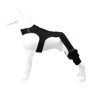 Cada Passo Conta – Suporte Ajustável para Pata Traseira de Cão