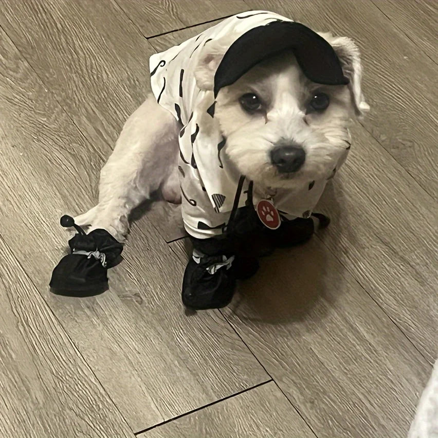 Botas Impermeáveis para Cão — Kit 4 Unidades, Proteção e Conforto para Patas Sensíveis