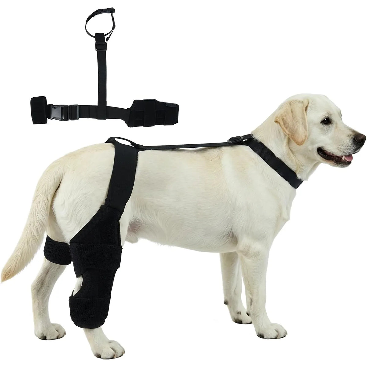 Firme e Flexível - joelheira ajustável em neoprene para cão