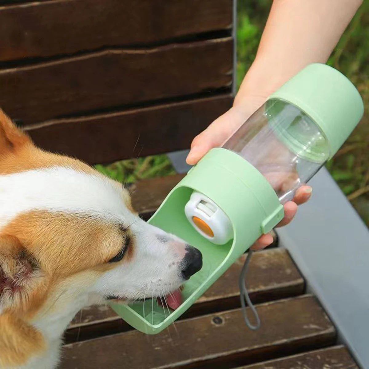 2 em Mão - cão a beber água da garrafa