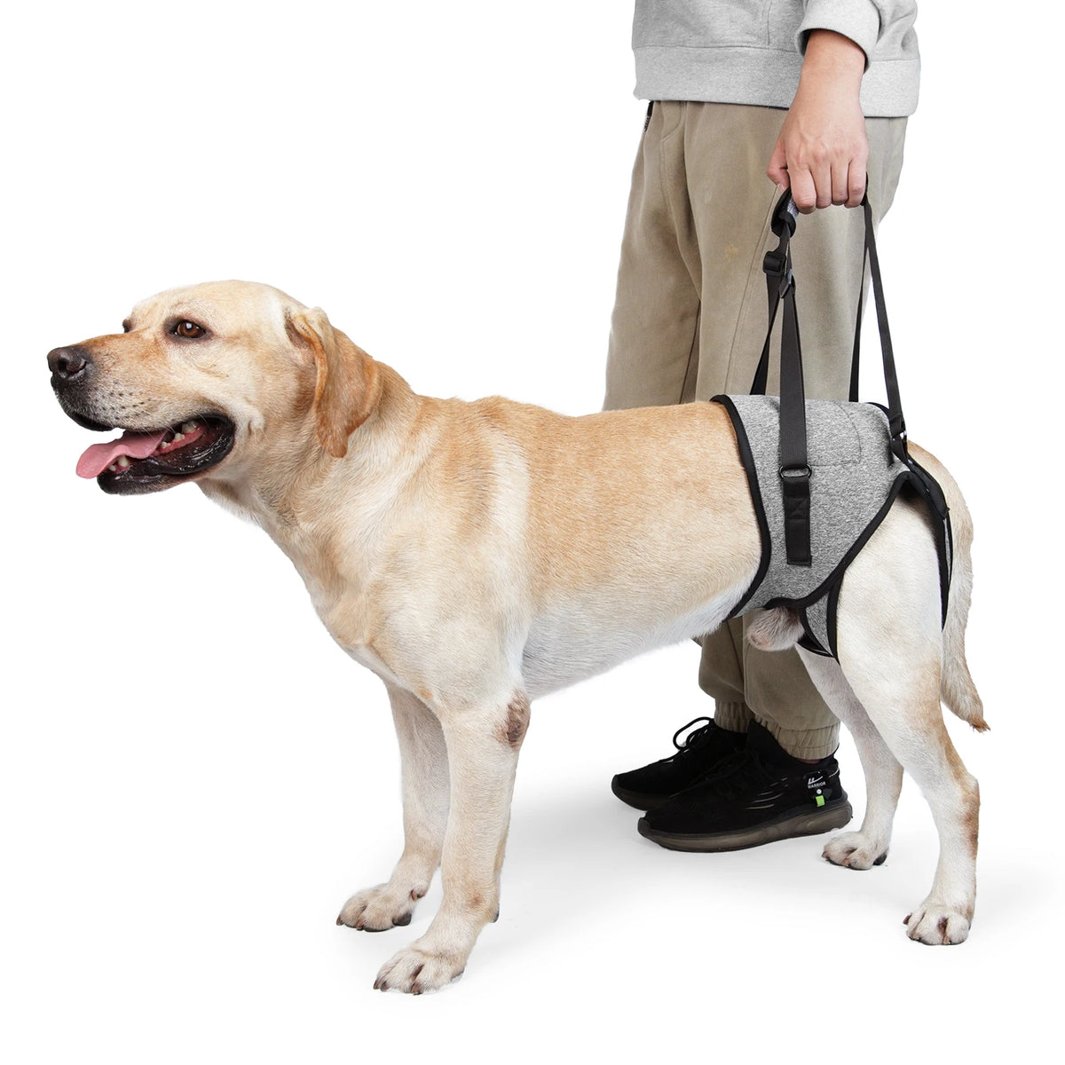 Mão Amiga - arnês de suporte para patas traseiras de cão