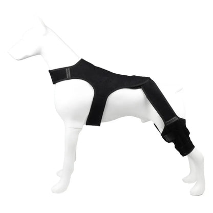 Cada Passo Conta - apoio articular para cão idoso