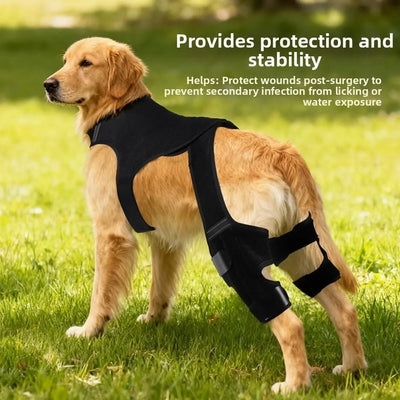 Cada Passo Conta – Suporte Ajustável para Pata Traseira de Cão