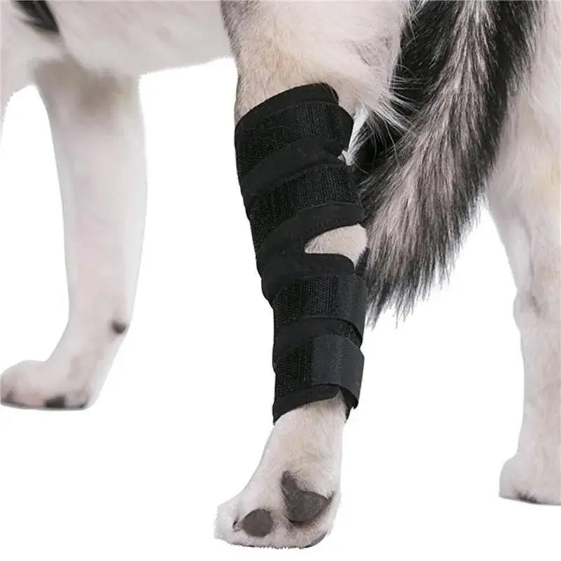 Passo Seguro - detalhe do suporte para joelho