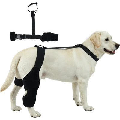 Firme e Flexível – Joelheira Ajustável para Cão