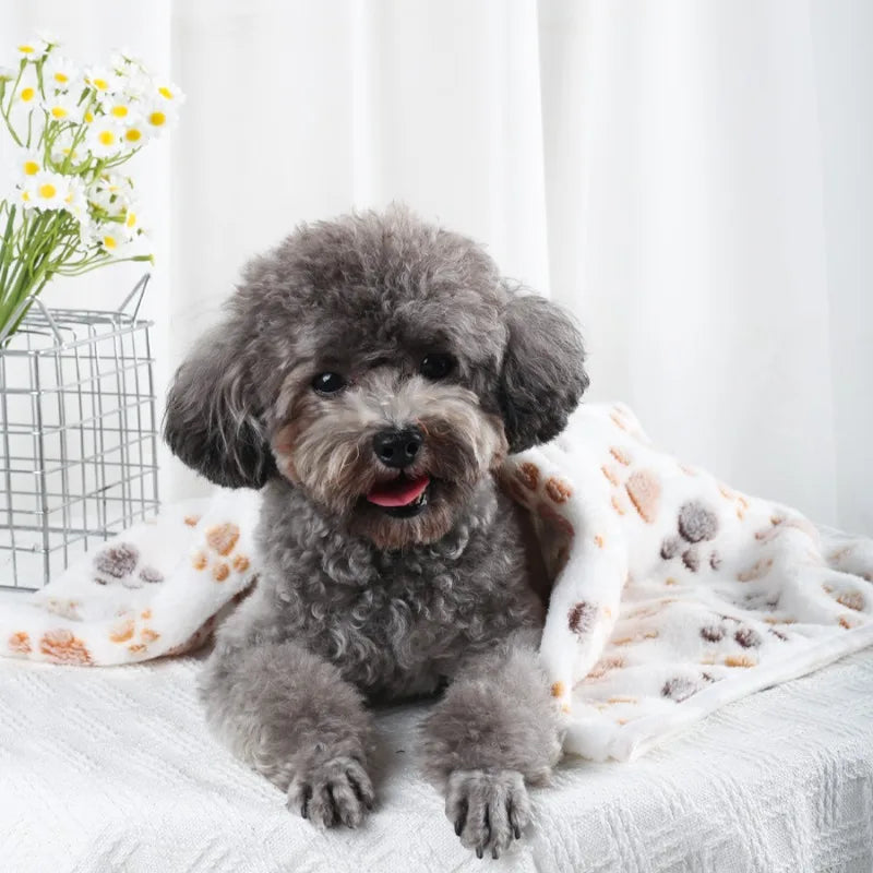Cobertor Macio e Quentinho para Cão Idoso — Flanela Extra Suave com Estampado de Patas