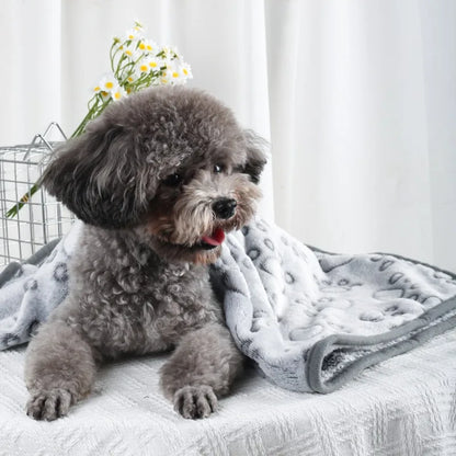 Cobertor Macio e Quentinho para Cão Idoso — Flanela Extra Suave com Estampado de Patas
