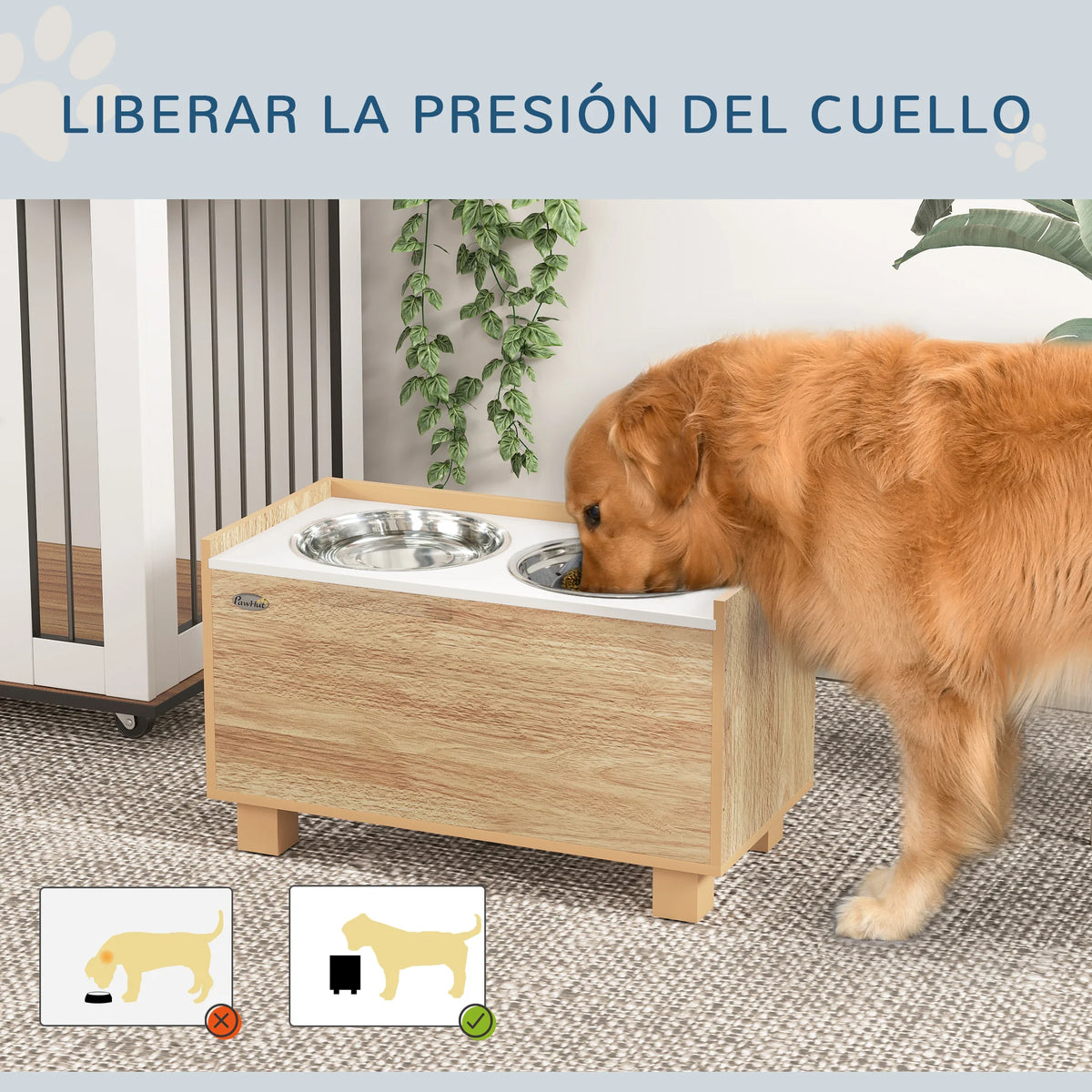 Altura Certa - cão de grande porte a comer
