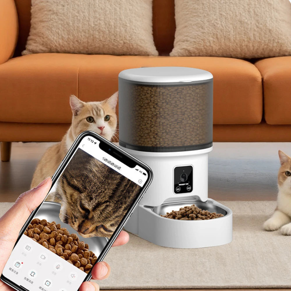 MimoCam - gato a comer com alimentador automático