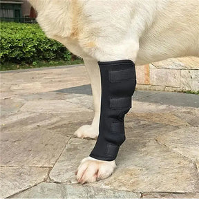 Passo Seguro – Suporte para Joelhos e Articulações de Cães (Par)