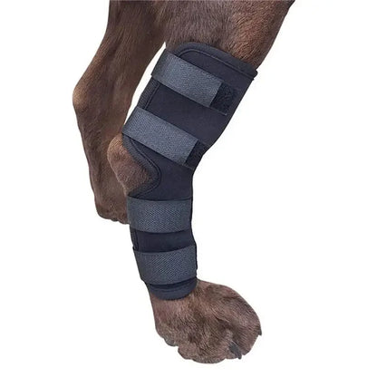 Passo Seguro - apoio articular para cão idoso