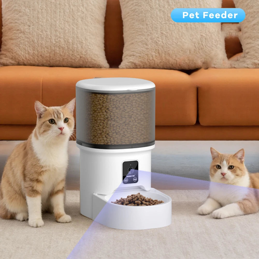 MimoCam - dono a ver o animal pela app