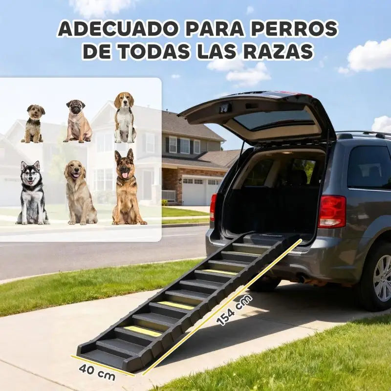 Degraus Seguros - escada de 10 degraus junto ao carro