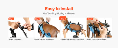 Nova Liberdade - cão com mobilidade reduzida ativo